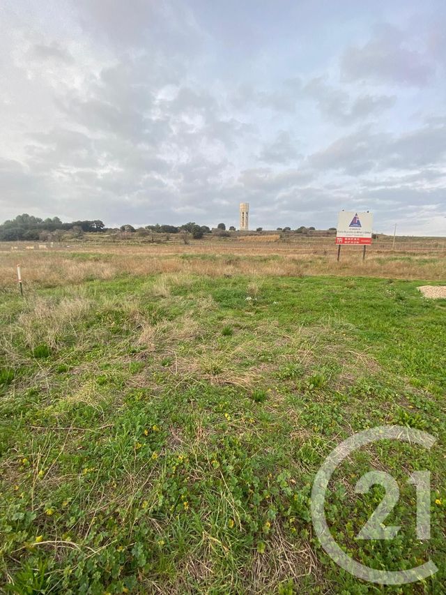 terrain à vendre - 1620.0 m2 - PUILACHER - 34 - LANGUEDOC-ROUSSILLON - Century 21 Terrasses Et Vallées