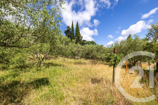 maison à vendre - 6 pièces - 122.7 m2 - NEBIAN - 34 - LANGUEDOC-ROUSSILLON - Century 21 Terrasses Et Vallées