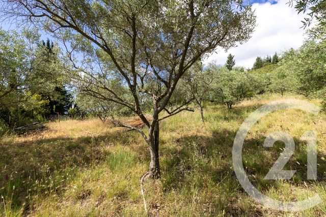 maison à vendre - 6 pièces - 122.7 m2 - NEBIAN - 34 - LANGUEDOC-ROUSSILLON - Century 21 Terrasses Et Vallées