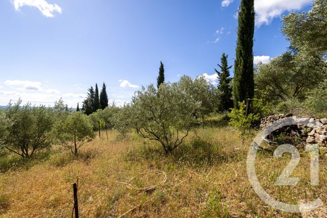 maison à vendre - 6 pièces - 122.7 m2 - NEBIAN - 34 - LANGUEDOC-ROUSSILLON - Century 21 Terrasses Et Vallées