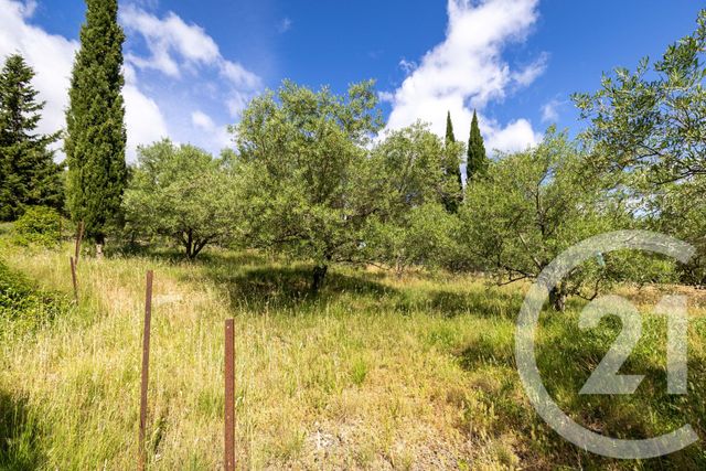 maison à vendre - 6 pièces - 122.7 m2 - NEBIAN - 34 - LANGUEDOC-ROUSSILLON - Century 21 Terrasses Et Vallées